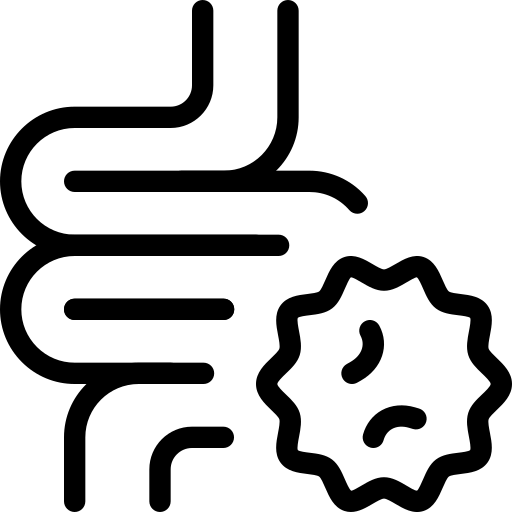 2878044